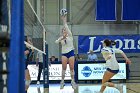 VB vs MHC  Wheaton Women's Volleyball vs Mount Holyoke College. - Photo by Keith Nordstrom : Wheaton, Volleyball, VB